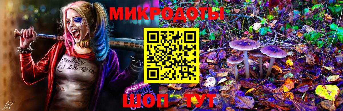 Михайловка  Псилоцибиновые грибы Psilocybe  Вход с VPN 
