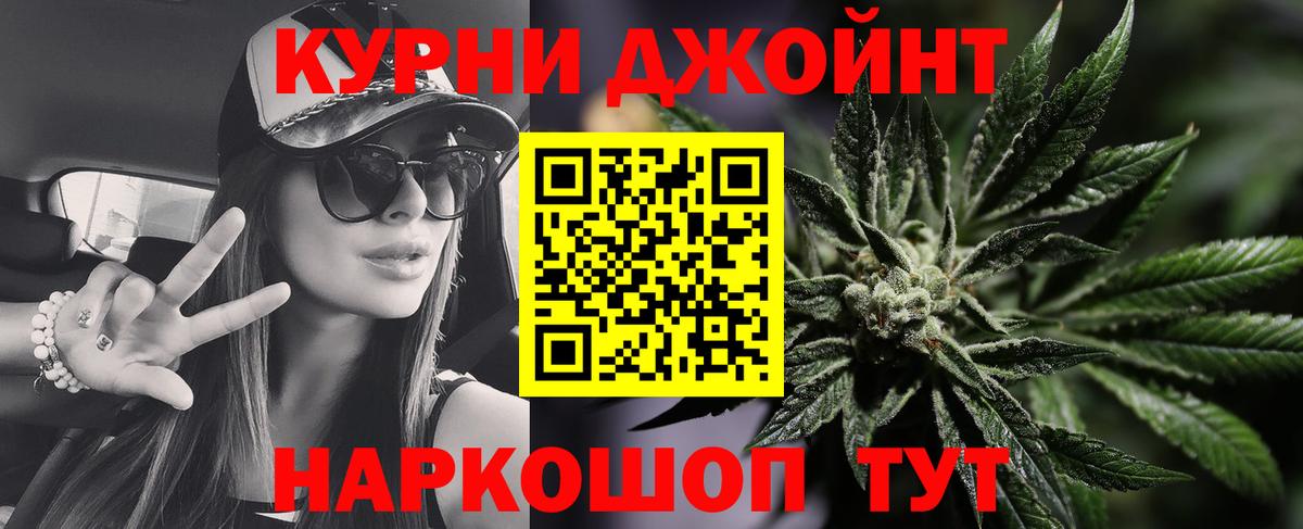 Каннабис индика Михайловка